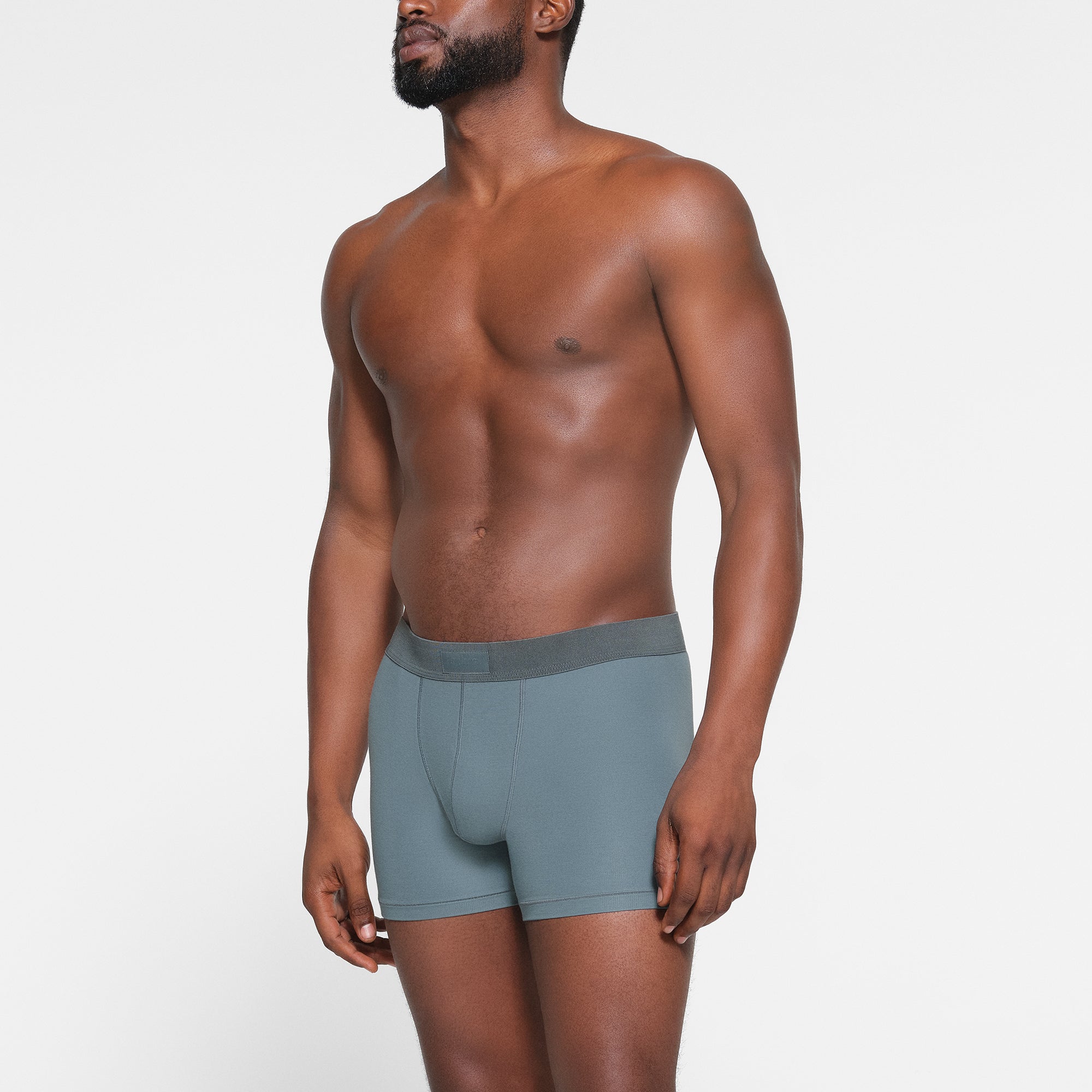 SKIMS COTTON MENS 3" BOXER BRIEF | KYANITE - Image 2