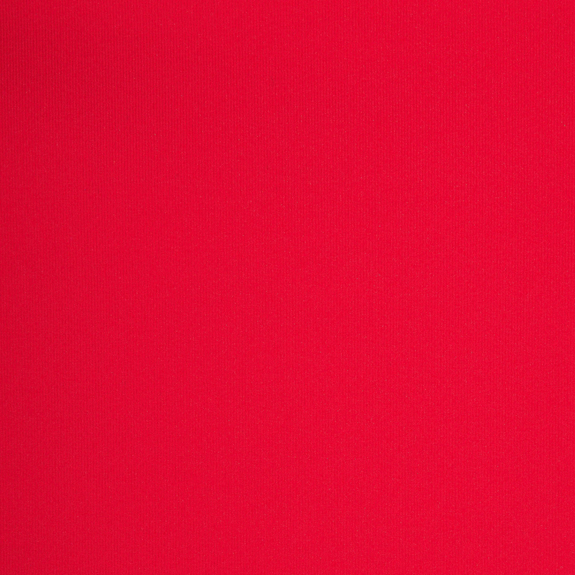 FITS EVERYBODY T-SHIRT | CHERRY - Image 5