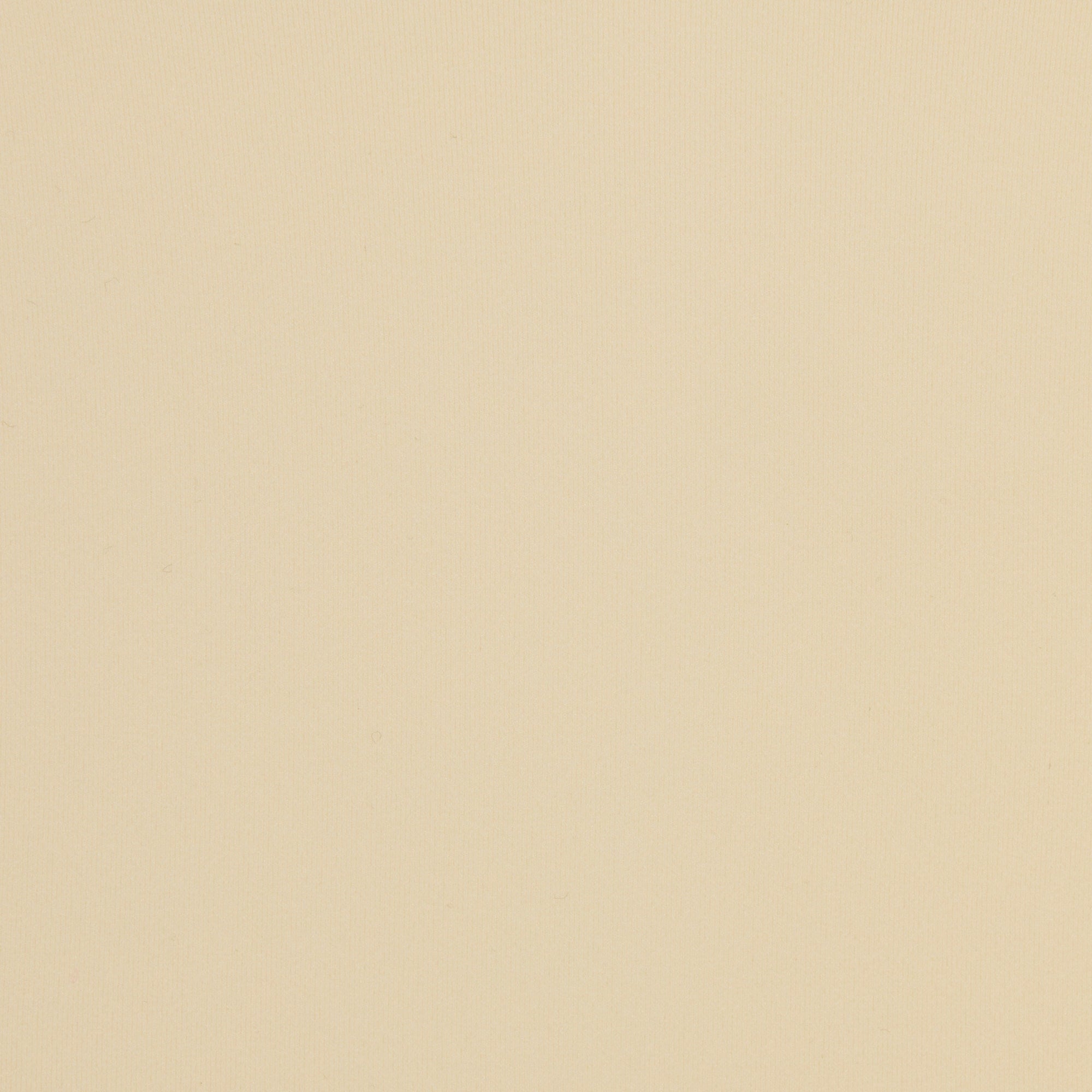 FITS EVERYBODY LACE DIPPED THONG | BUTTER - Image 4