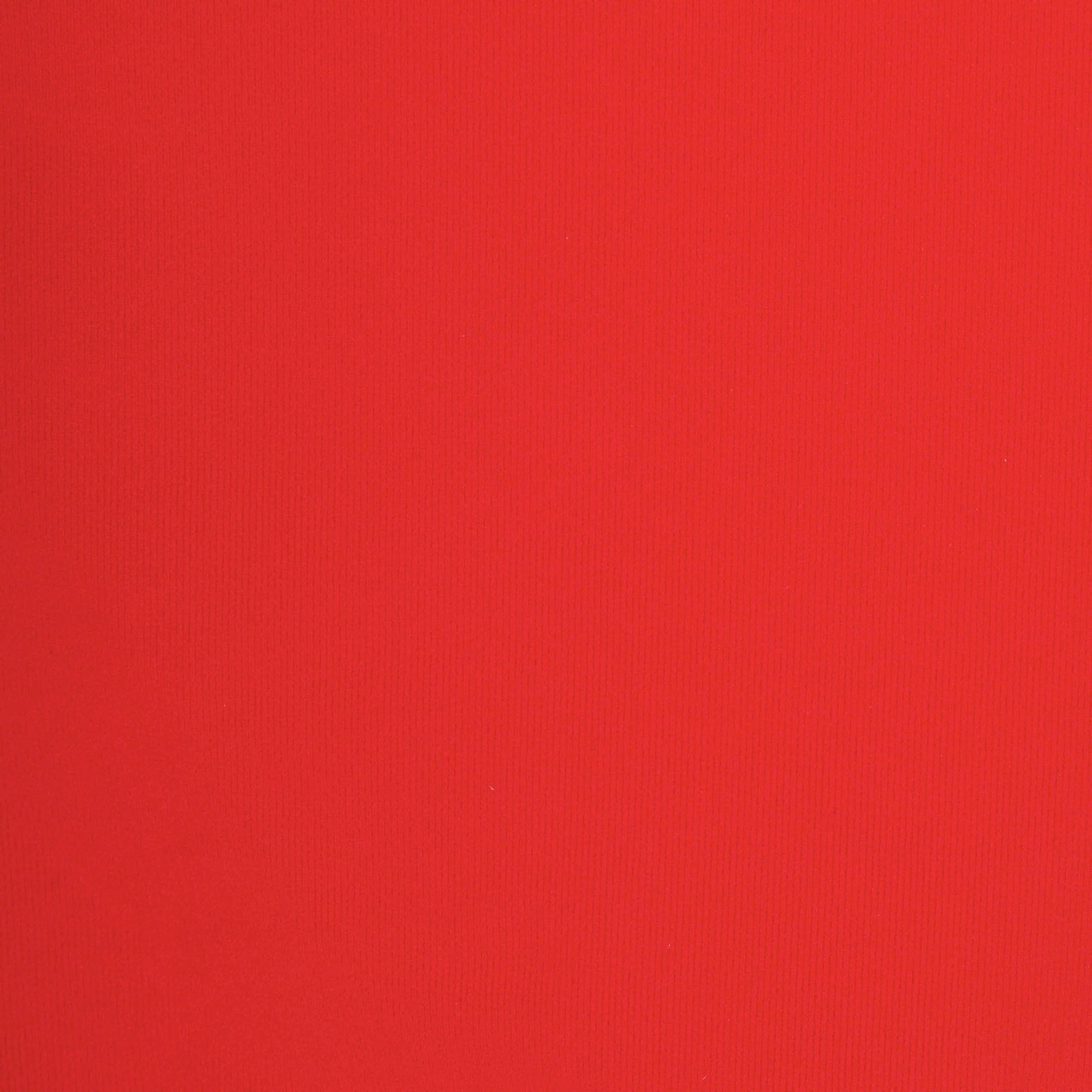 FITS EVERYBODY LACE DIPPED THONG | CAYENNE - Image 4