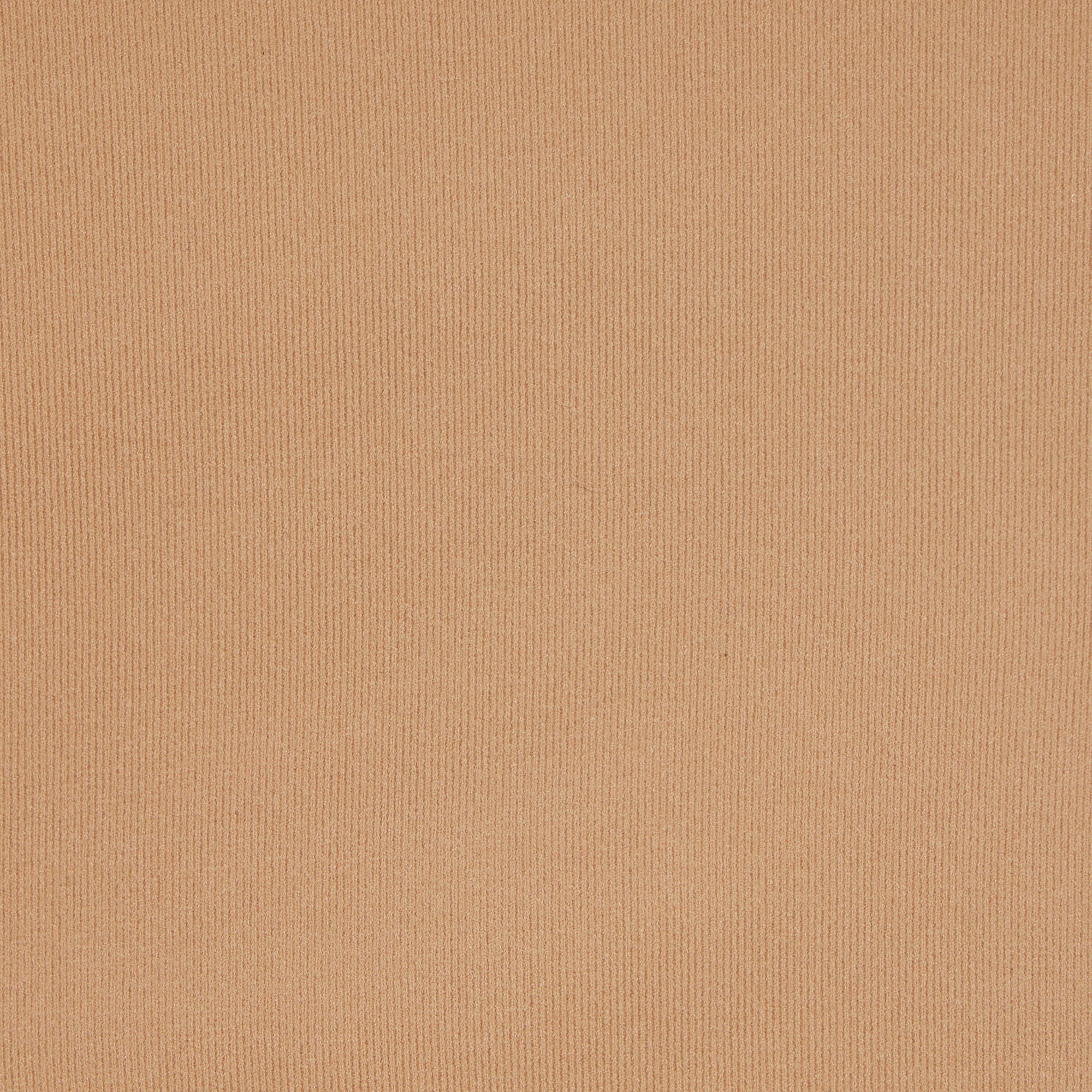 FITS EVERYBODY HIGH-WAISTED THONG | OCHRE - Image 4