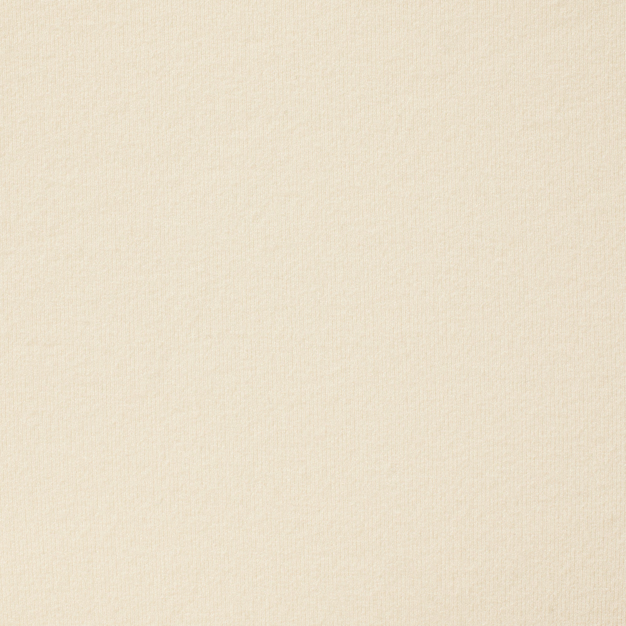 FITS EVERYBODY LACE DIPPED THONG 5-PACK | BALLET MULTI - Image 13