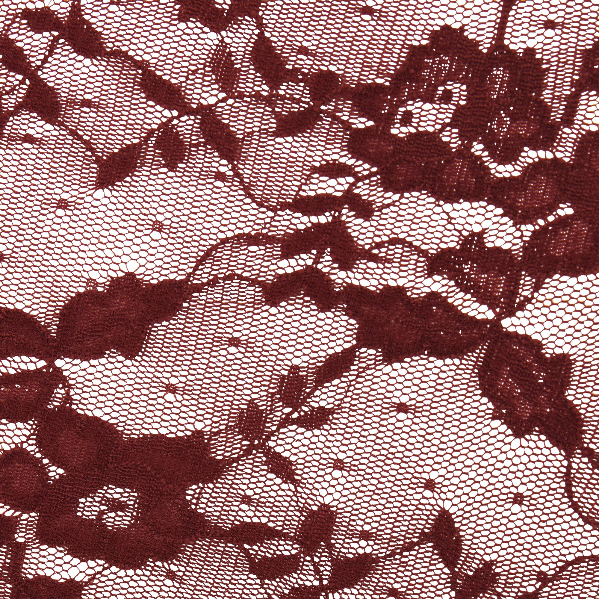 STRETCH LACE BOY SHORT | OXBLOOD - Image 4