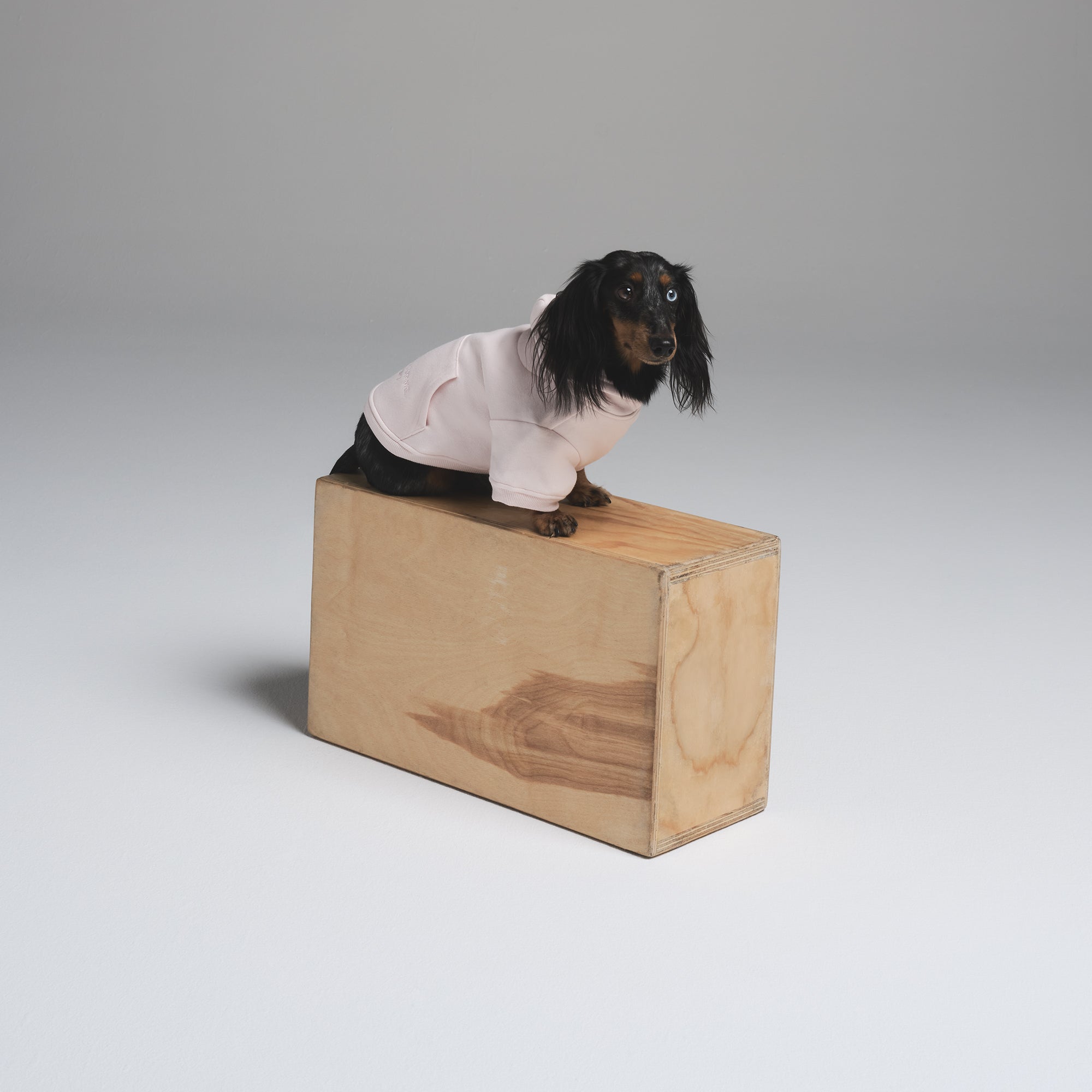 COTTON FLEECE PET HOODIE | BARELY PINK