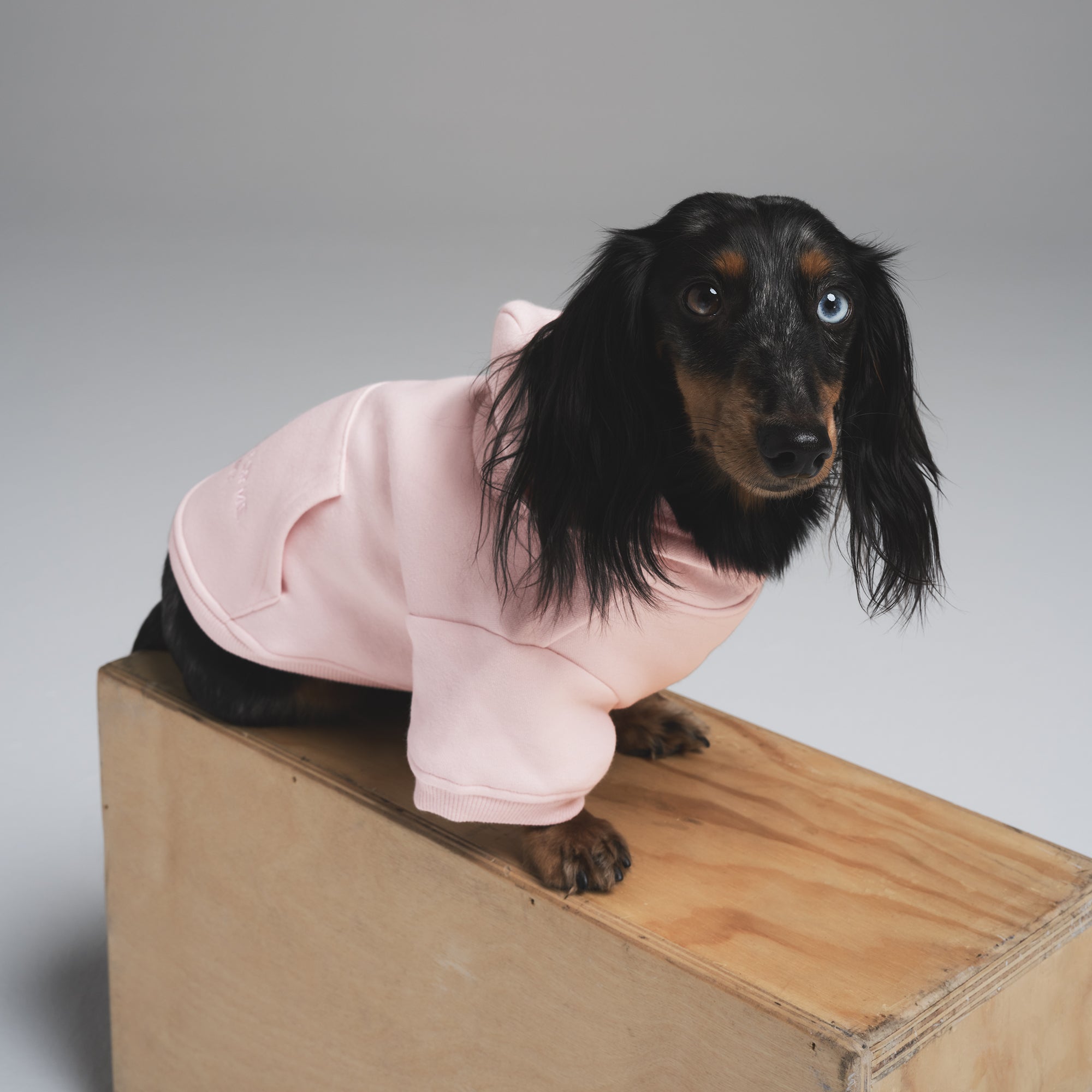 COTTON FLEECE PET HOODIE | BARELY PINK - Image 2