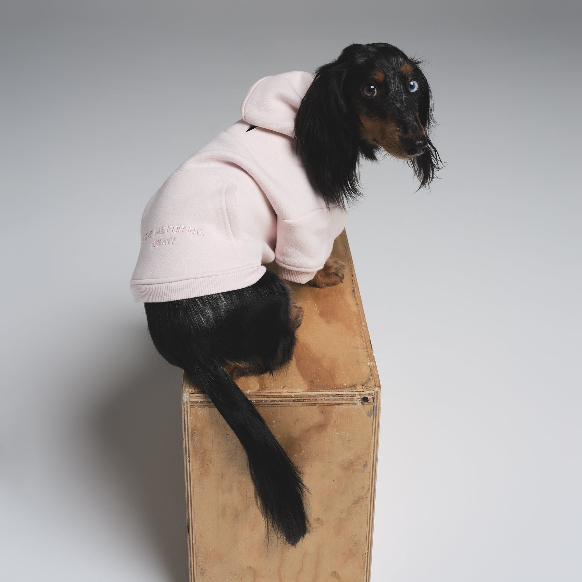 COTTON FLEECE PET HOODIE | BARELY PINK - Image 3