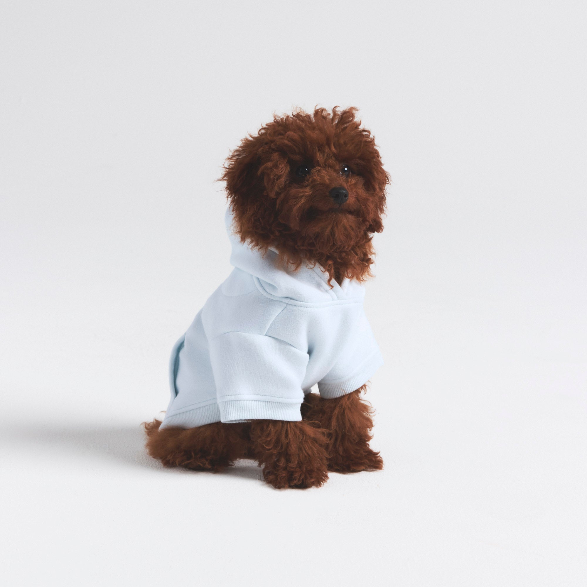 COTTON FLEECE PET HOODIE | CLOUD