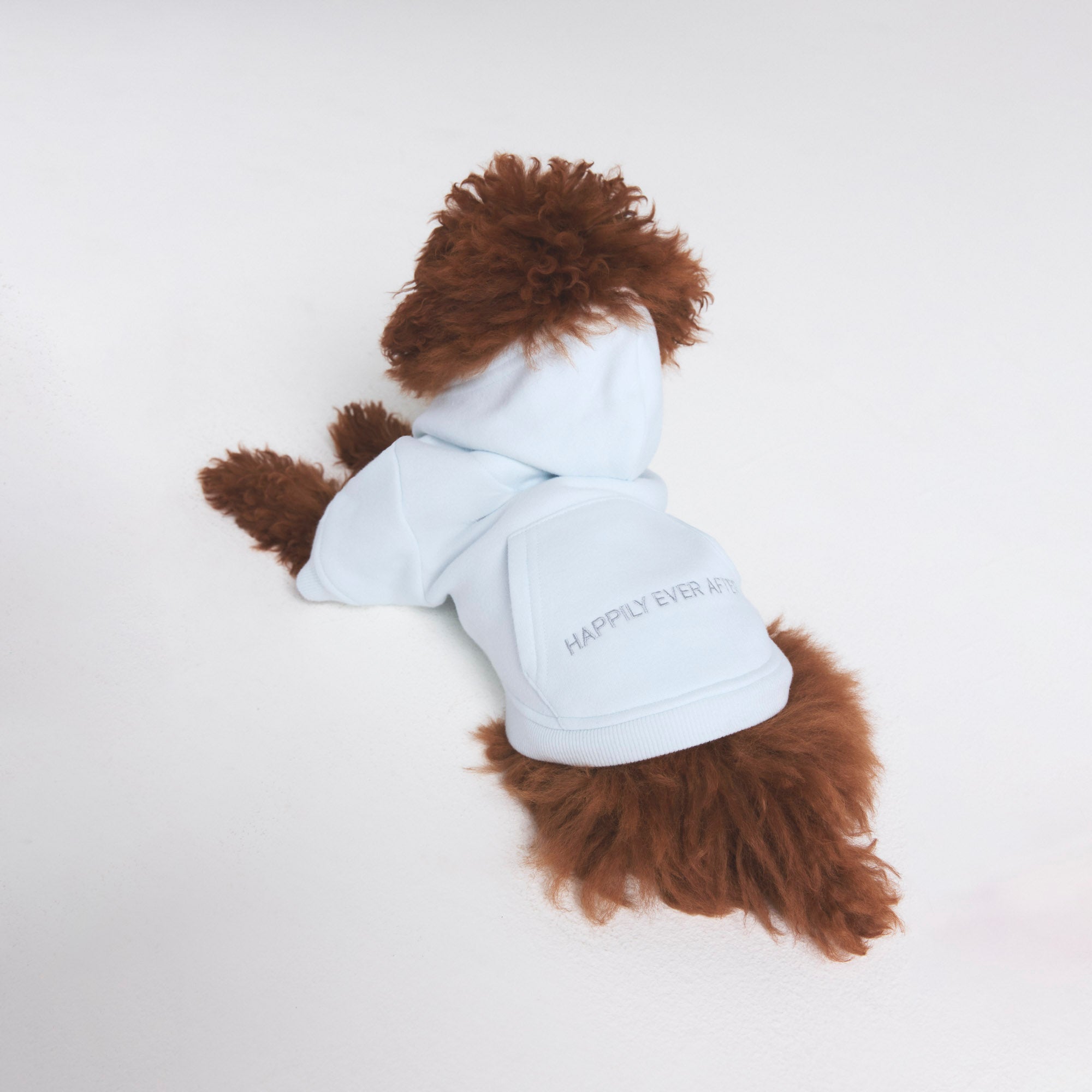 COTTON FLEECE PET HOODIE | CLOUD - Image 3