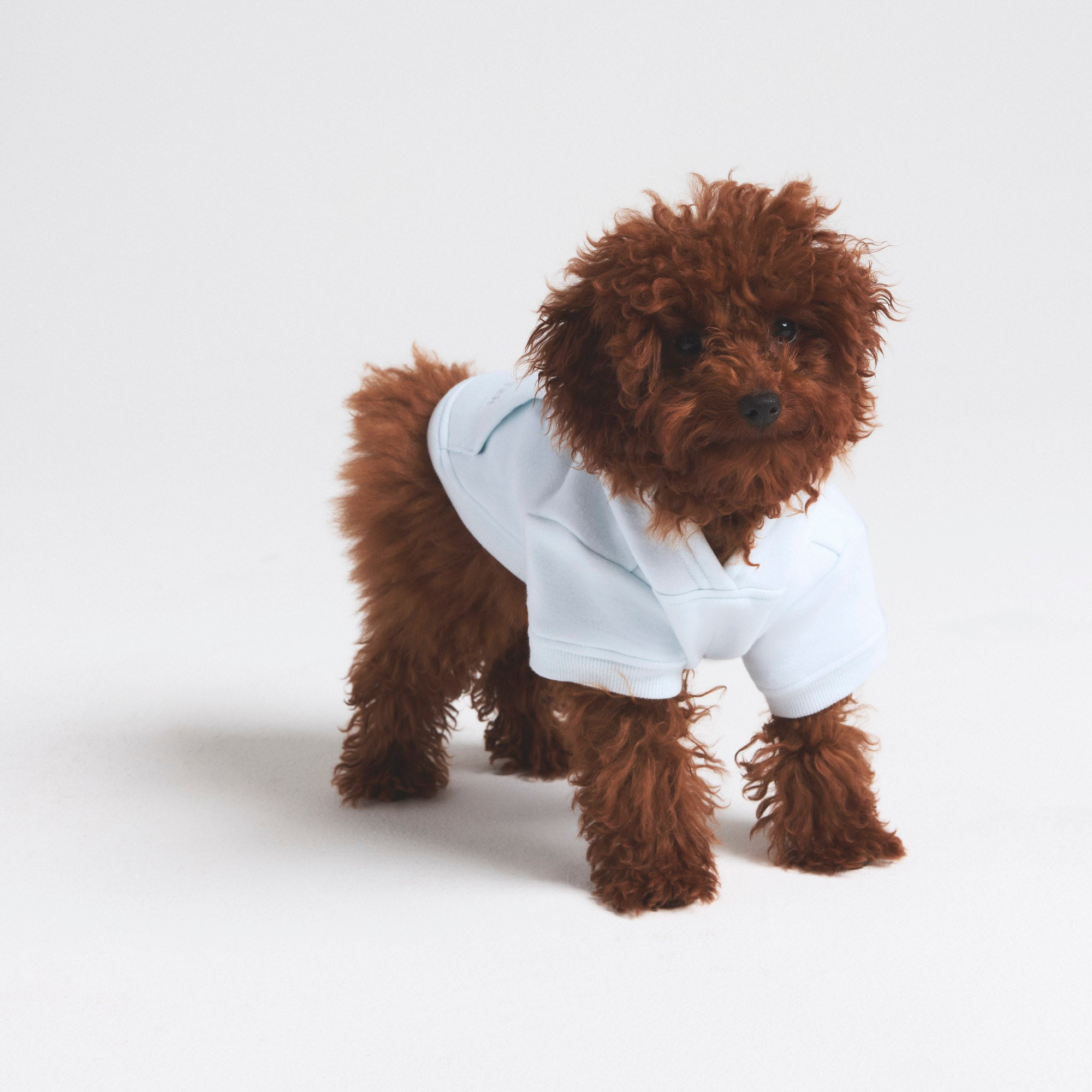 COTTON FLEECE PET HOODIE | CLOUD - Image 2