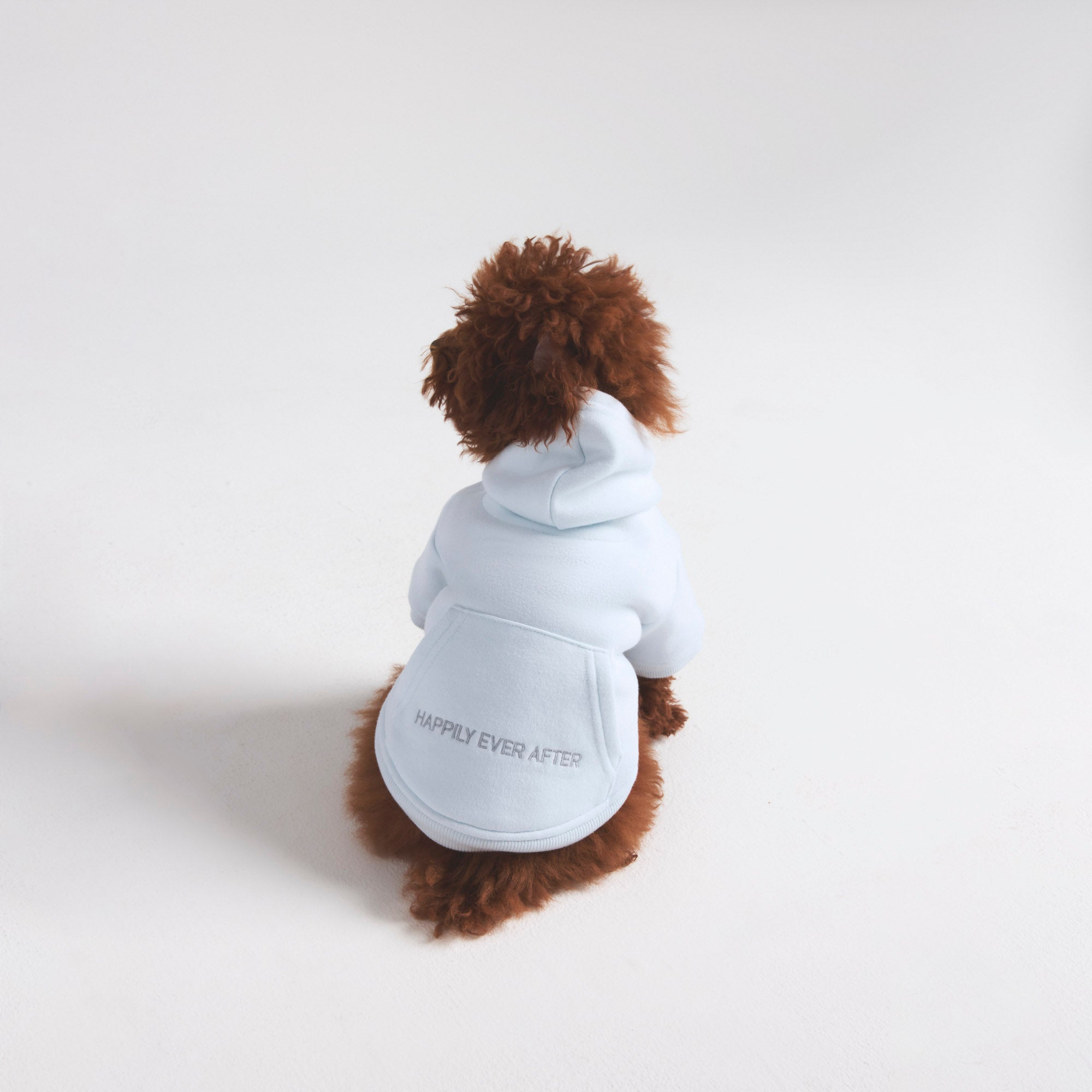 COTTON FLEECE PET HOODIE | CLOUD - Image 4
