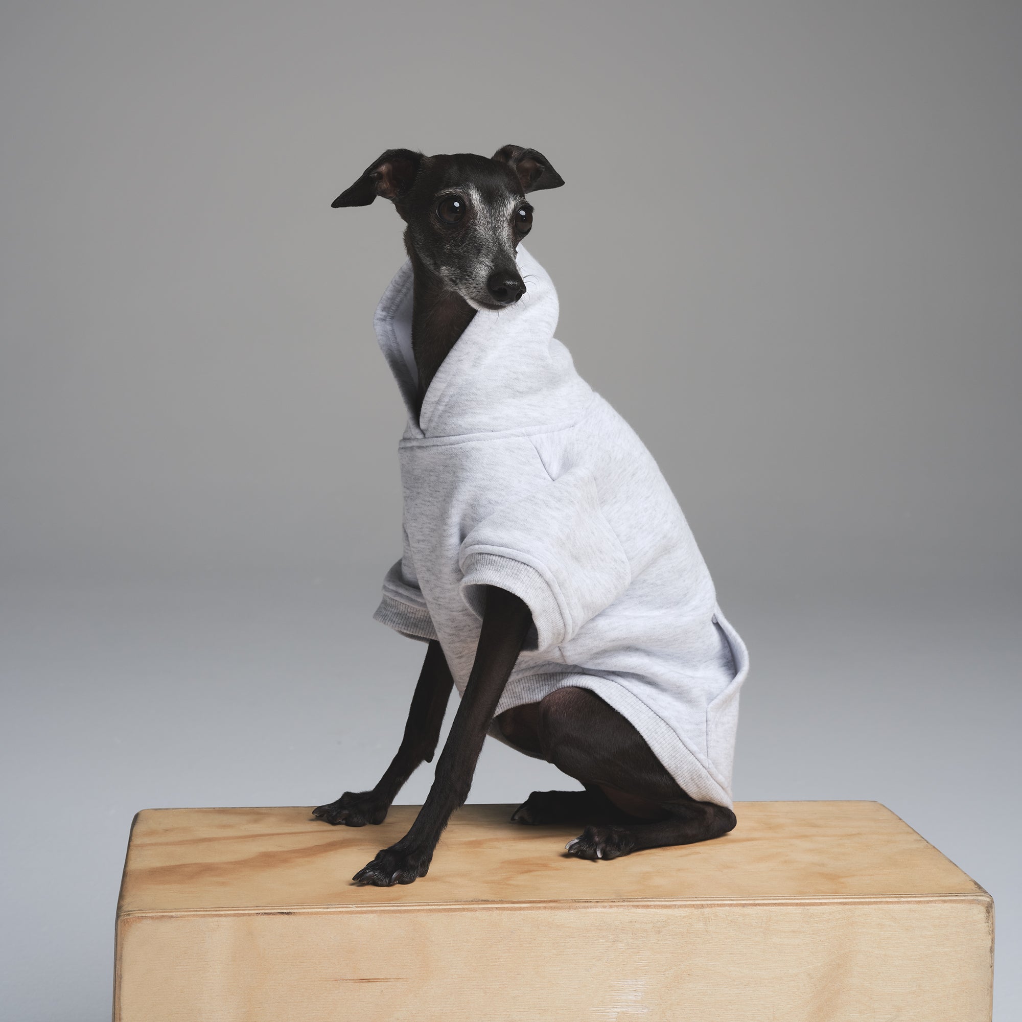 COTTON FLEECE PET HOODIE | LIGHT HEATHER GREY - Image 4