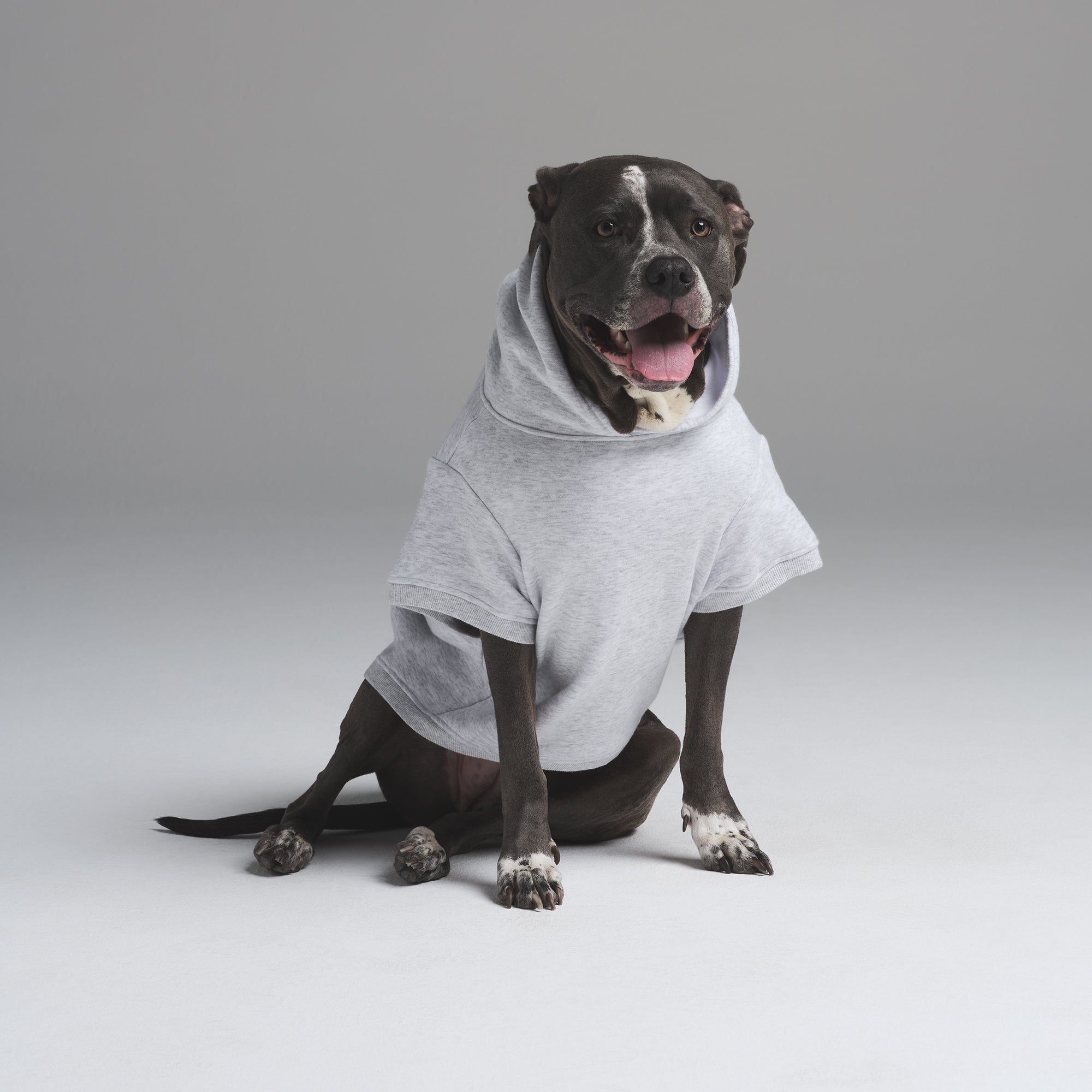 COTTON FLEECE PET HOODIE | LIGHT HEATHER GREY - Image 2